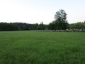 2015-08_037_Lichtenfels