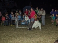 2015-08_071_Bayreuth